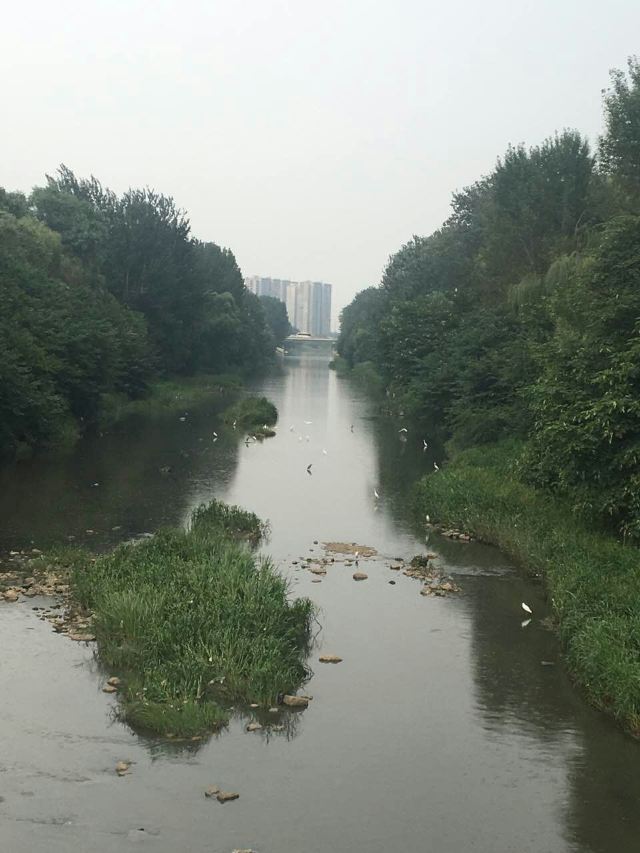 Jiangfu Park