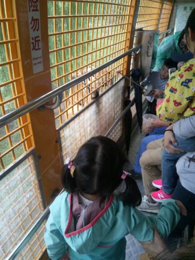 상하이 야생 동물원