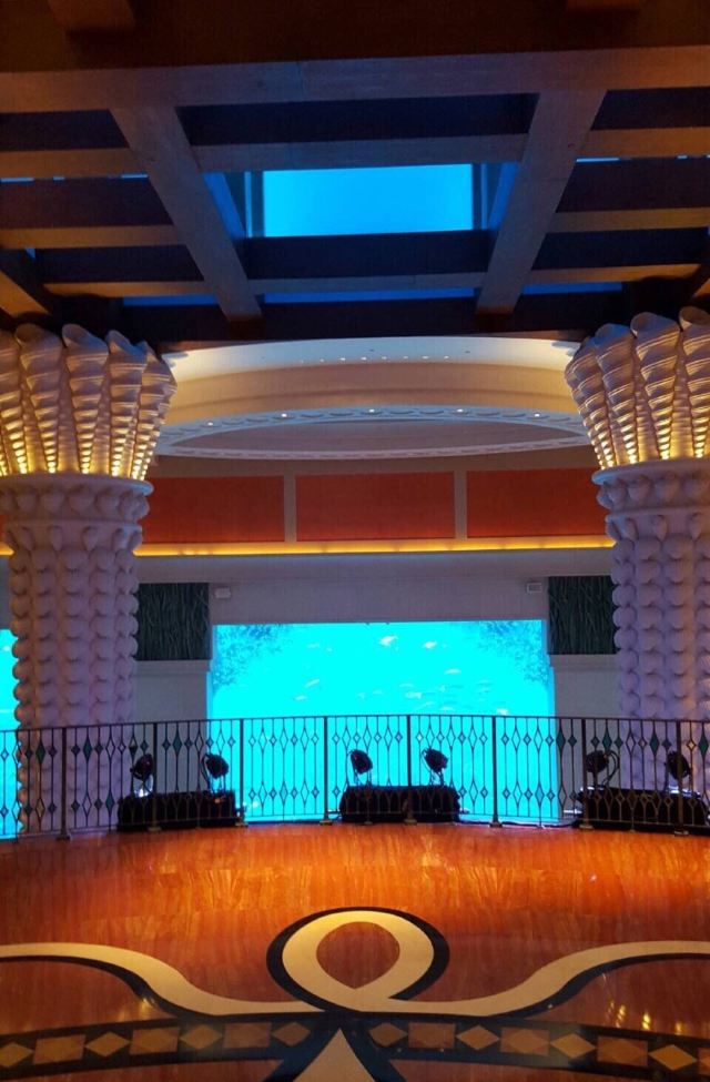 Dolphin Bay