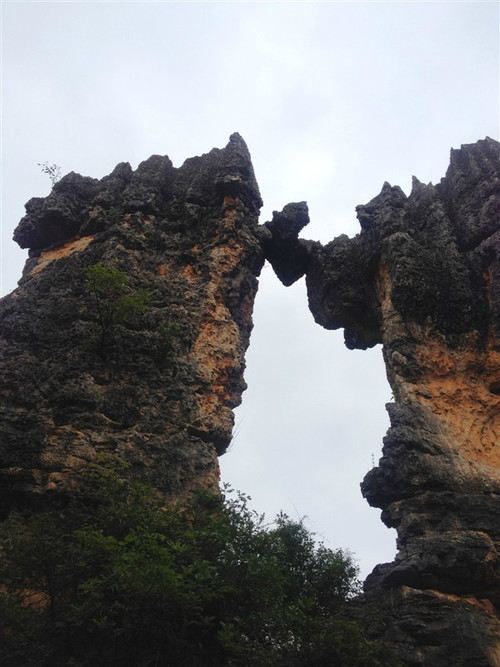 Stone Forest