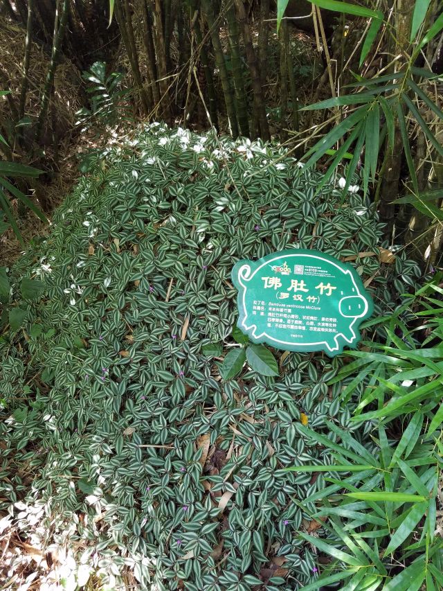 Yanoda Rainforest Cultural Tourism Zone