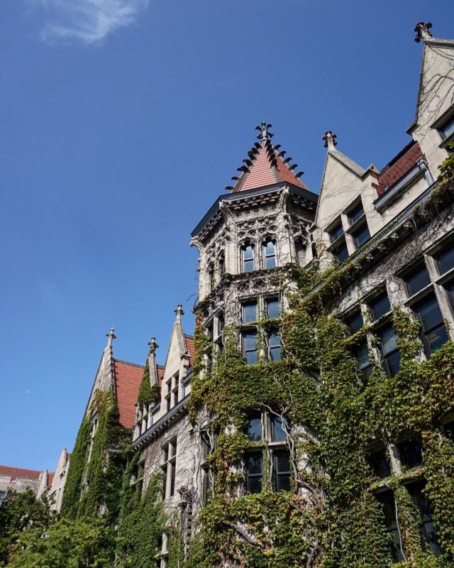 The University of Chicago