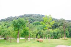 天鹿湖森林公园-广州-doris圈圈