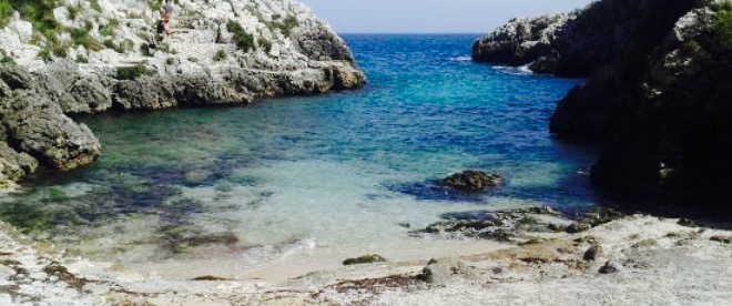 Friggitoria Porto Vecchio餐厅图片