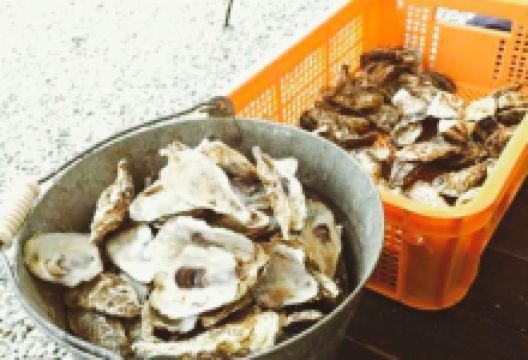 Yakigaki Taiho美食图片