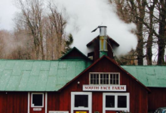 South Face Farm美食图片