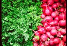 Whole Foods Market购物图片