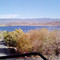Topaz Lodge & Resort Lake View Coffee Shop