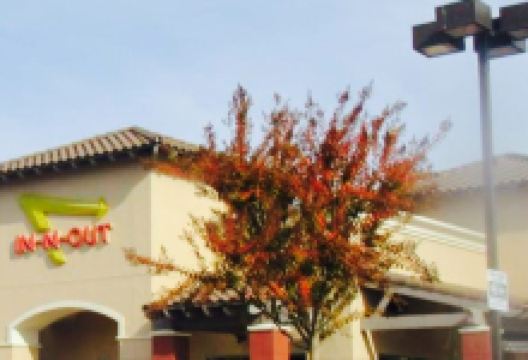 In-N-Out Burger美食图片