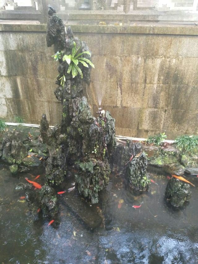 Qinghui Garden