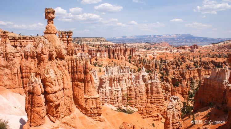 8-Day Yellowstone National Park Tour from Los Angeles · Lake Tahoe, Grand Teton National Park, Lower Antelope Canyon, Grand Canyon National Park and Las Vegas