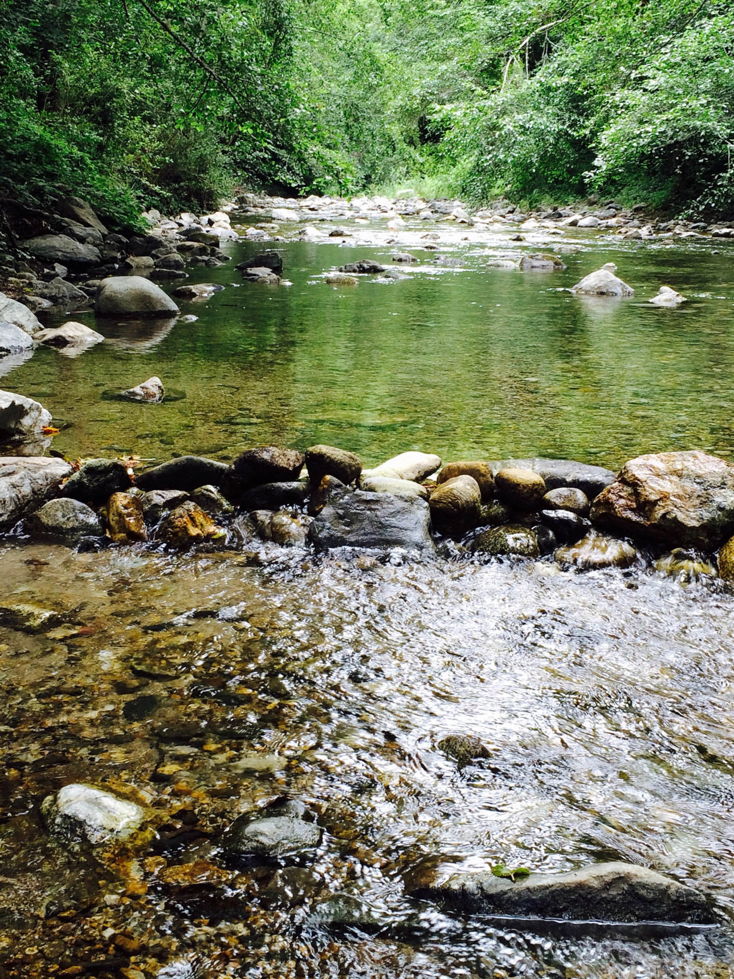 Big Sur River Inn Restaurant