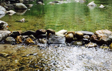 Big Sur River Inn Restaurant餐厅图片