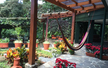 El Jardin at Monteverde Lodge & Gardens餐厅图片