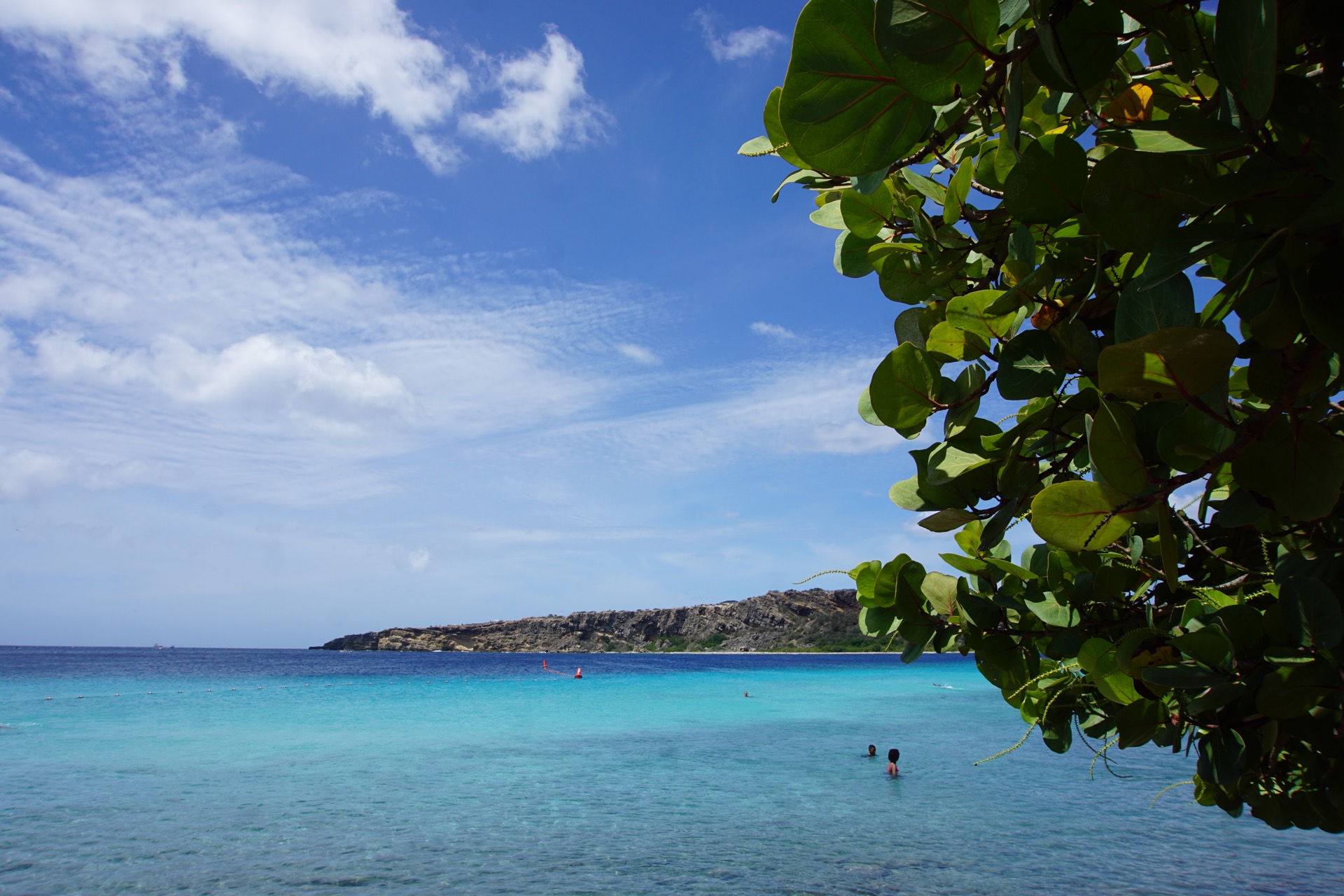 Pop's Place餐厅图片