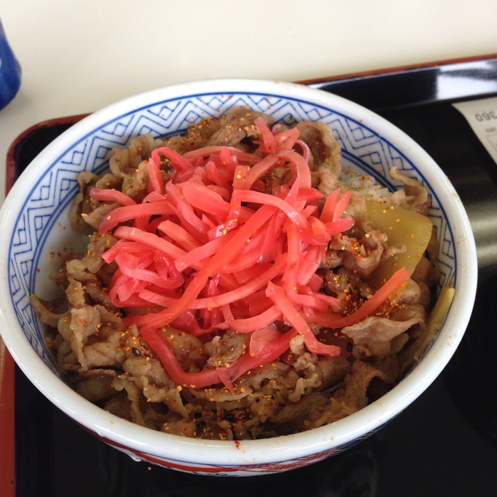 Yoshinoya Route 2 Hayashima