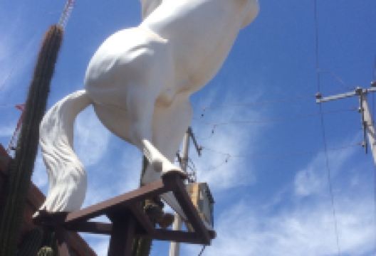 El Bronco美食图片