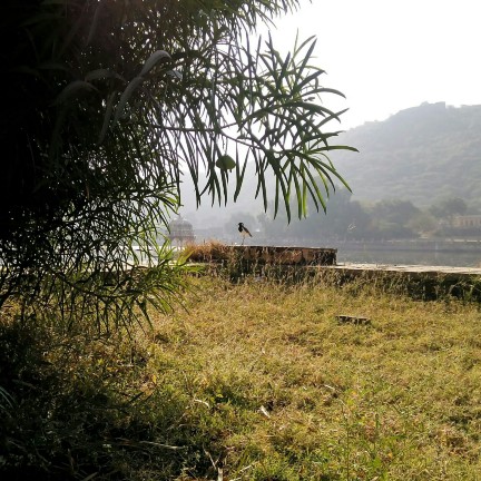 Lake View Garden Restaurant