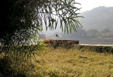 Lake View Garden Restaurant美食图片