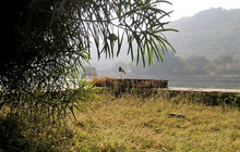 Lake View Garden Restaurant餐厅图片