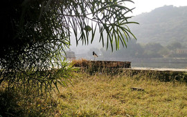 Lake View Garden Restaurant