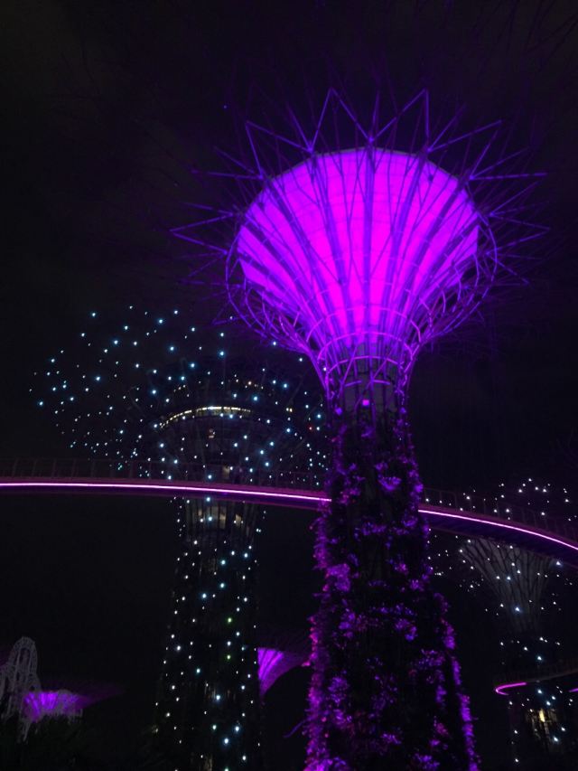 Sands SkyPark