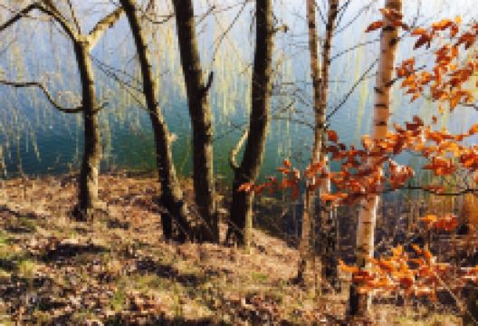 Hospudka Na Stribrnem Jezere美食图片