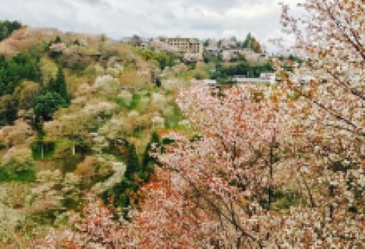 Nyoirin-Jiochadokoro美食图片