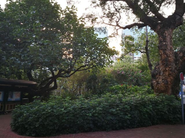 Kowloon Park