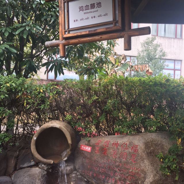 자룡만 온천 국제 호텔