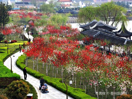 凤城河桃园
