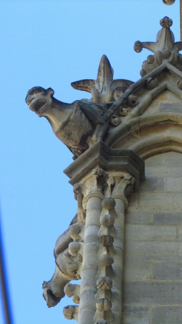 Cathédrale Notre-Dame de Paris