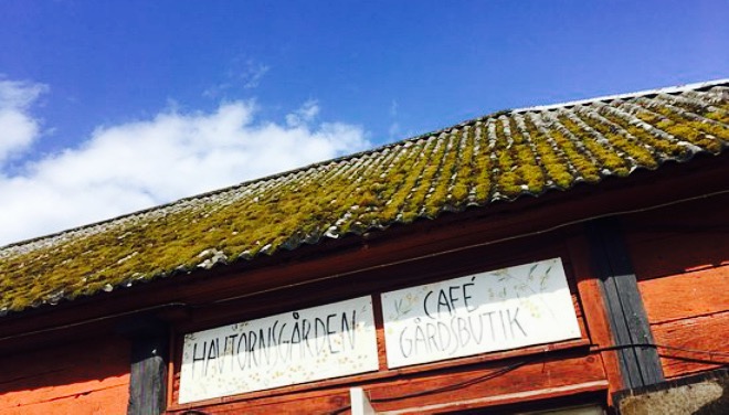 Havtornsgarden餐厅图片