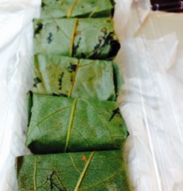 Sasaoka Shokudo Kintetsuyoshino Ekimae