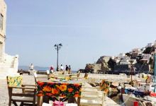 Papagalos美食图片