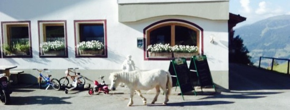 Jausenstation Almluft