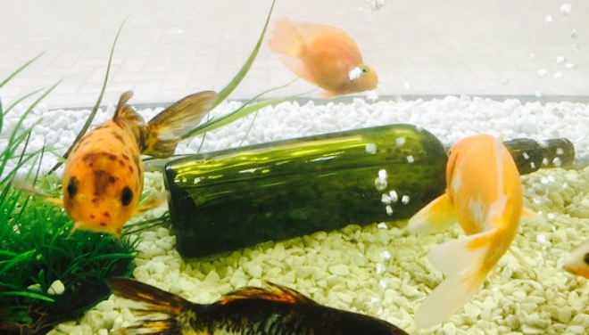 Moltto Wine & Grill餐厅图片