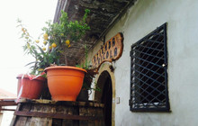 Trattoria Pane e Vino餐厅图片