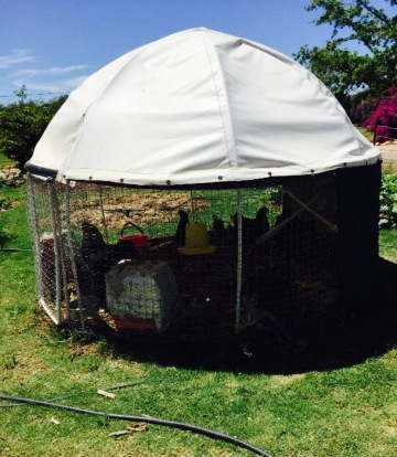 River Front Restaurant餐厅图片