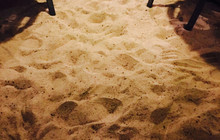 The Beach Shack Port Douglas餐厅图片