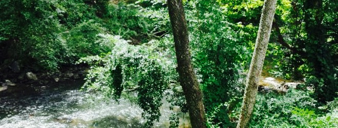 Black Bear BBQ餐厅图片