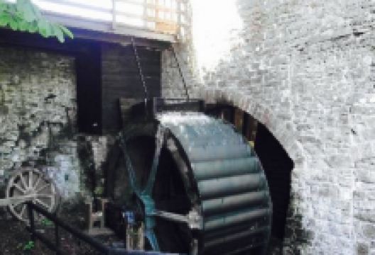 Abbey Mill美食图片