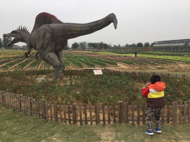 Yuntai Garden