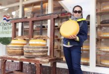 The Cheese Shop at Appel Farms美食图片