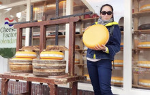 The Cheese Shop at Appel Farms餐厅图片