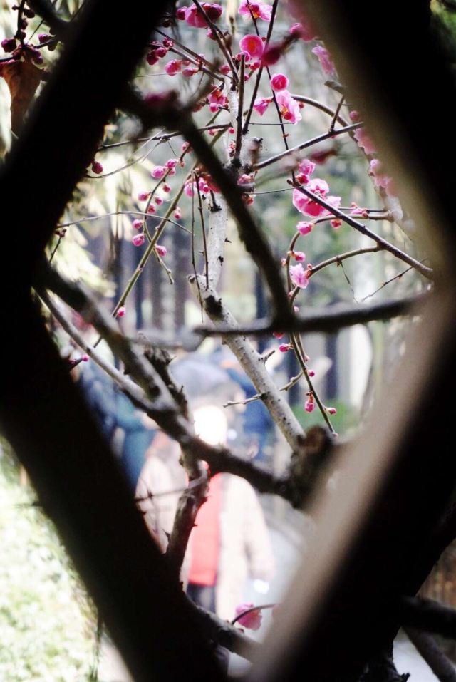 少年兒童公園