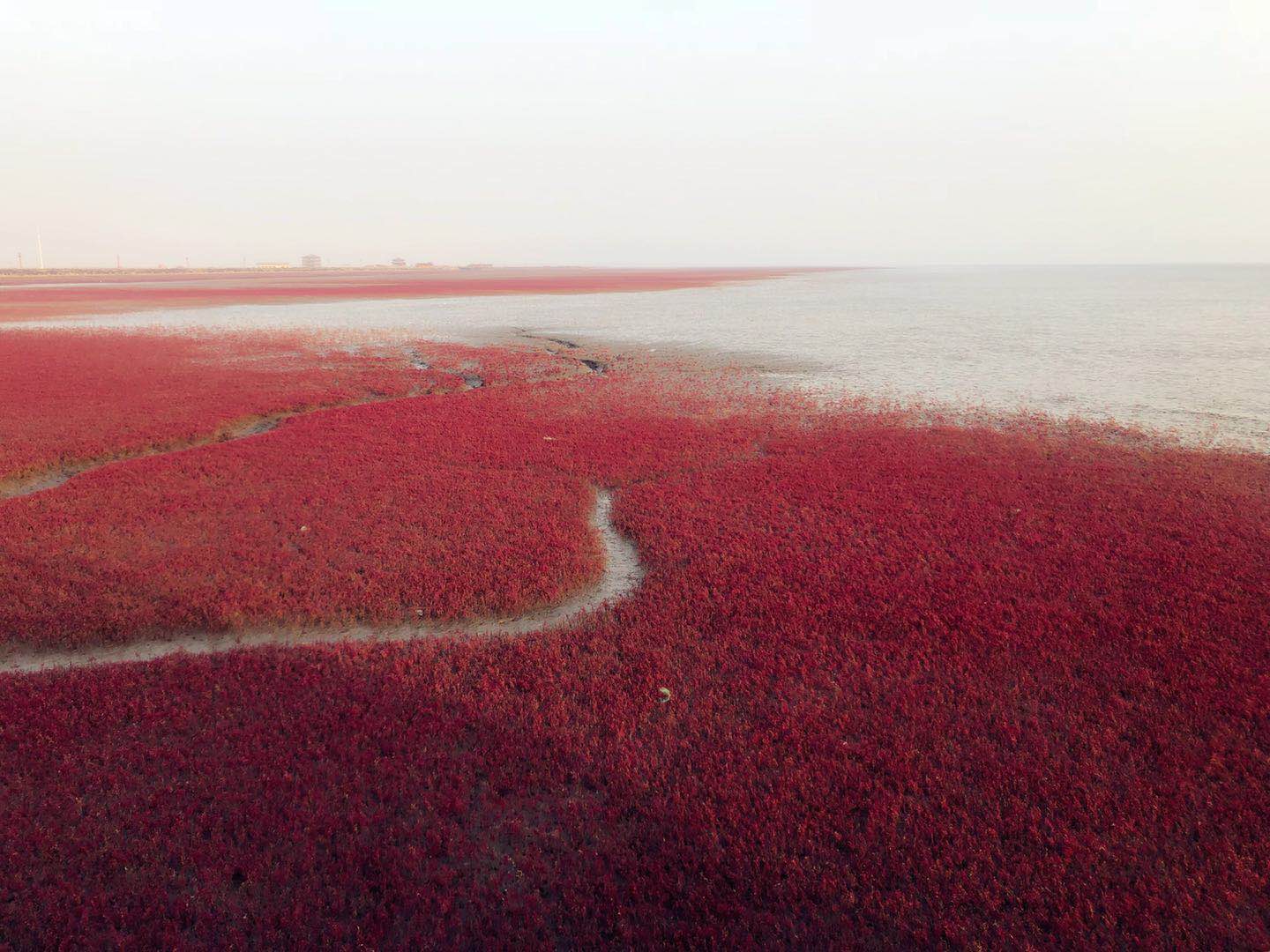 红海