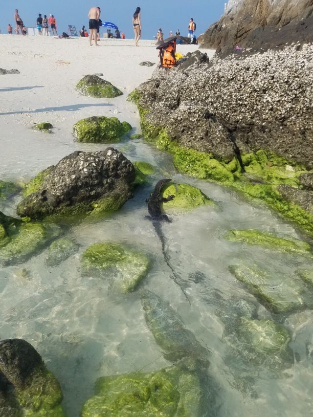 Koh Khai Nok