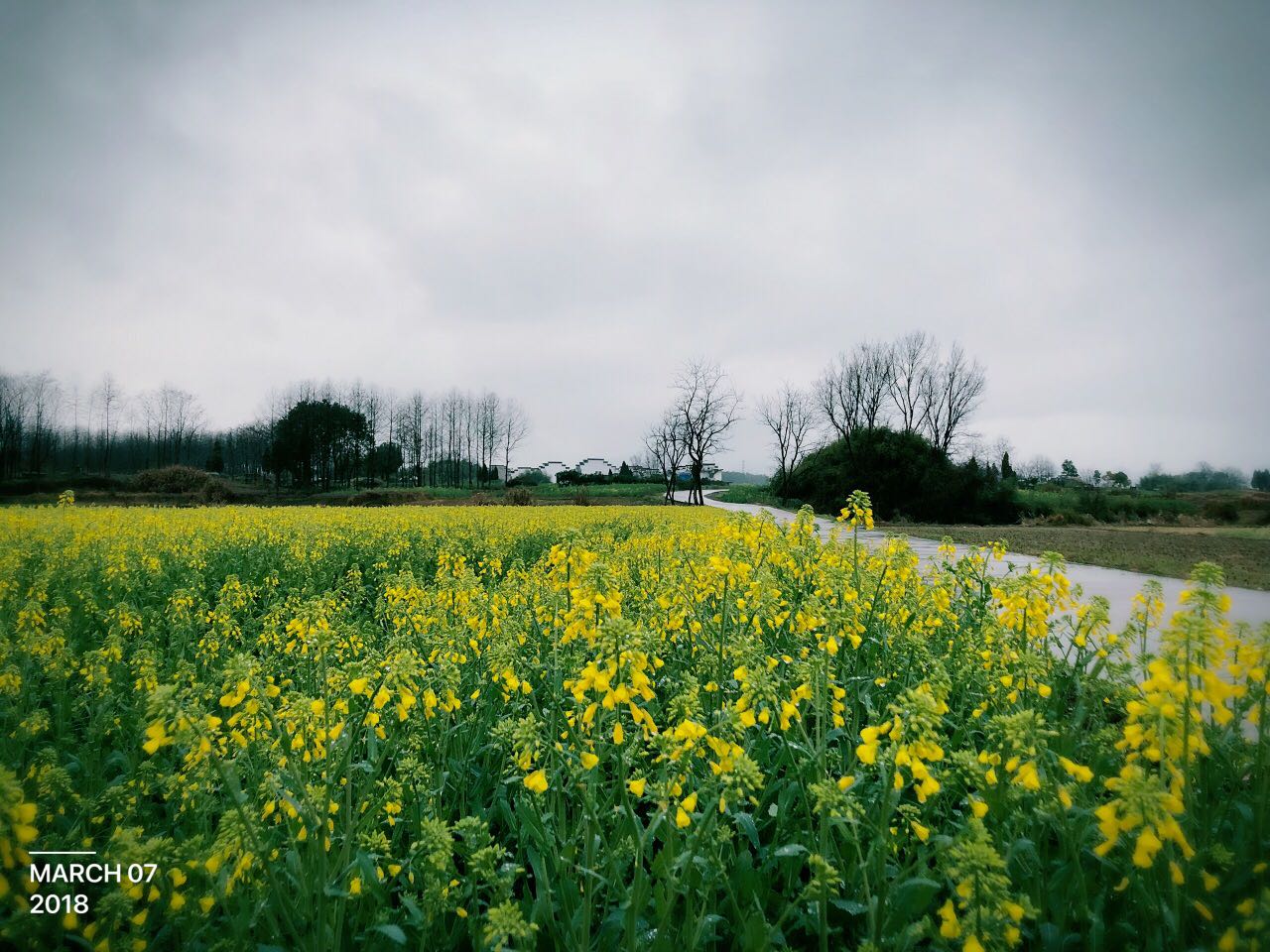 石潭村：千年古村-明清建筑