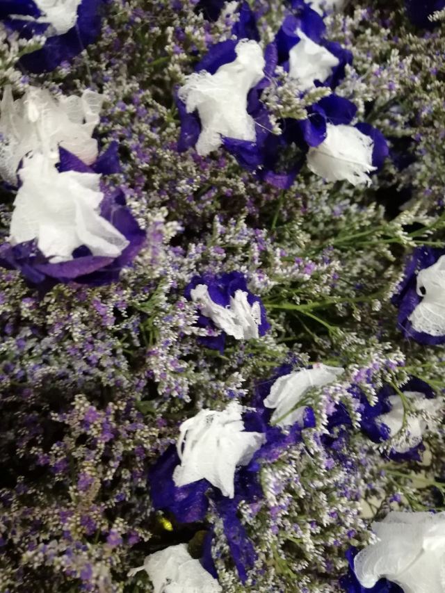 City of Flower